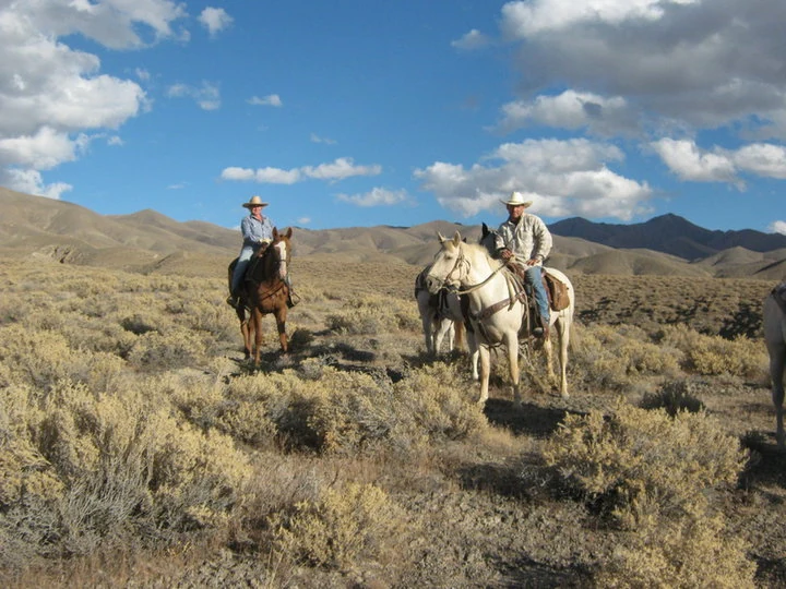 Image from Episode 11: The Desert