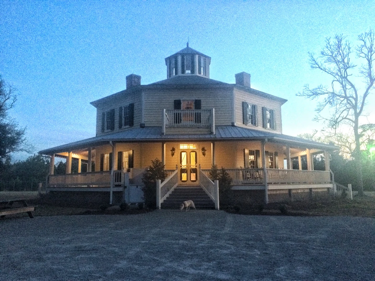 Image from Episode 25: The Octagon